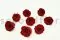 Rosa stabilizzata L Rosso Scuro (x8) 2