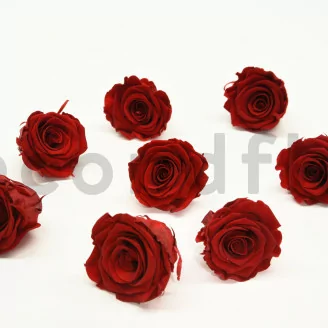 Rosa preservada L Rojo Oscuro (x8)