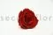 Rose stabilis&eacute;e L Rouge fonc&eacute; (x8) 4
