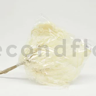 Preserved Mountain Fern Large White