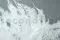 Preserved Mountain Fern Large White 1
