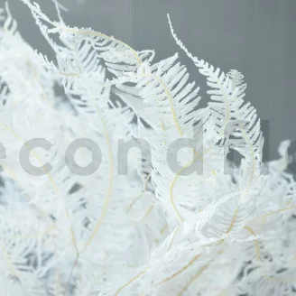 Preserved Mountain Fern Large White