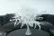 Preserved Mountain Fern Large White 7