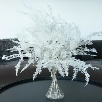 Preserved Mountain Fern Large White