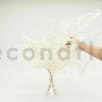 Preserved Mountain Fern Large White