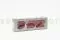 Gardenia stabilizzata Bordeaux (x3) 7