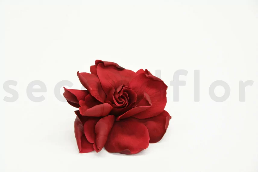 Gardenia stabilizzata Bordeaux (x3)