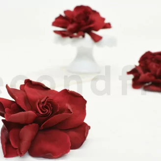 Gardenia stabilizzata Bordeaux (x3)