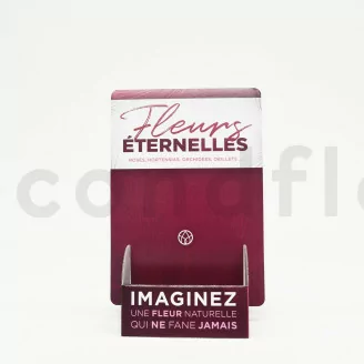 Porte flyers &laquo;Fleurs &Eacute;ternelles&raquo;