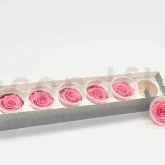 Rosa stabilizzata XL Baby Pink (x6)