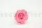 Rose stabilis&eacute;e XL Baby Pink (x6) 5