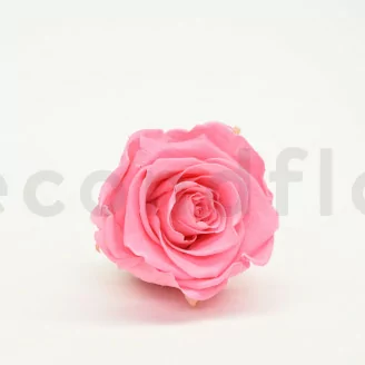 Rose stabilis&eacute;e XL Baby Pink (x6)
