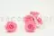 Konservierte Rose XL Baby Pink (x6) 6