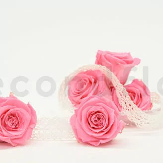 Rose stabilis&eacute;e XL Baby Pink (x6)