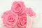 Rosa preservada XL Baby Pink (x6) 8
