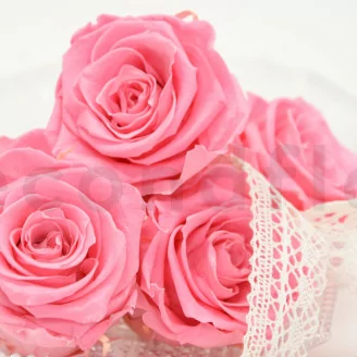 Rose stabilis&eacute;e XL Baby Pink (x6)