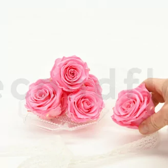 Rose stabilis&eacute;e XL Baby Pink (x6)