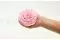 Preserved Rose XXL Bridal Pink 2