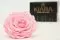 Rosa stabilizzata XXL Rosa 3