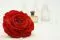 Preserved XXL Rose Red 3