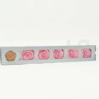 Rose stabilis&eacute;e XL Bridal Pink (x6)