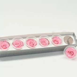 Konservierte Rose XL Bridal Pink (x6)