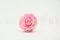 Preserved Rose XL Bridal Pink (x6) 7