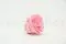 Rosa stabilizzata XL Bridal Pink (x6) 8
