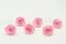 Rosa stabilizzata XL Bridal Pink (x6) 3