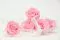 Rosa preservada XL Bridal Pink (x6) 4