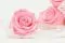 Rose stabilis&eacute;e XL Bridal Pink (x6) 1