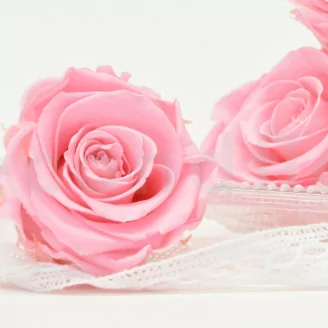 Rose stabilis&eacute;e XL Bridal Pink (x6)