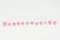 Preserved Ping Pong Chrysanthemum Pink (x12) 6