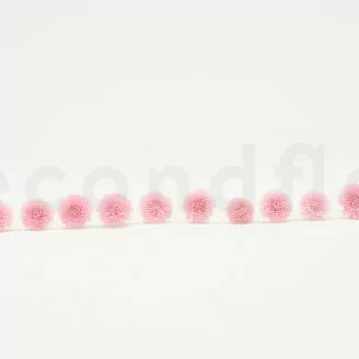 Konservierte Chrysantheme Ping Pong Rosa (x12)