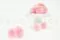 Konservierte Chrysantheme Ping Pong Rosa (x12) 1