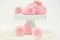 Preserved Ping Pong Chrysanthemum Pink (x12) 3