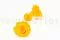 Rosa stabilizzata XL Sunny Yellow (x6) 6