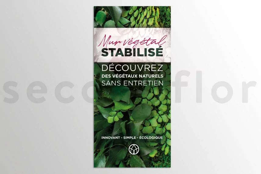 Flyer zur Kundengewinnung &laquo;Mur V&eacute;g&eacute;tal stabilis&eacute;&raquo; (x100)