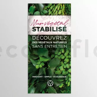 Volantino prospezione &laquo;Mur V&eacute;g&eacute;tal stabilis&eacute;&raquo; (x100)