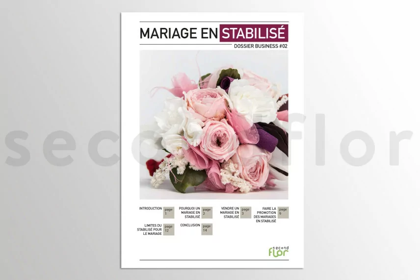 [G_P_SF-DB-2_E] Dossier business 2 - &laquo;Mariage en stabilis&eacute;&raquo;