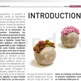[G_P_SF-DB-4_E] Dossier business 4 - &laquo;Compositions commerciales&raquo;