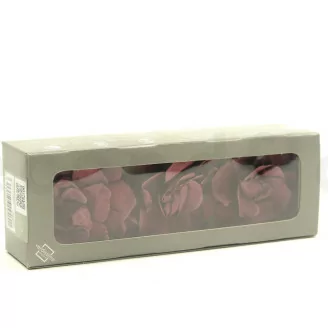 Gard&eacute;nia stabilis&eacute; Cranberry (x3)