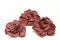 Gardenia stabilizzata Cranberry (x3) 2