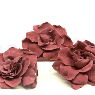 Konservierte Gardenie Cranberry (x3)