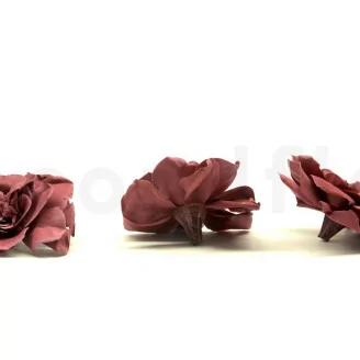 Gardenia stabilizzata Cranberry (x3)