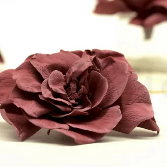 Gard&eacute;nia stabilis&eacute; Cranberry (x3)