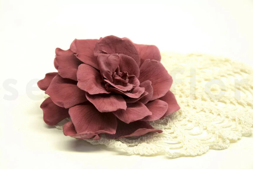 Preserved Gardenia Cranberry (x3)