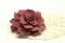Gardenia stabilizzata Cranberry (x3) 1