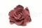 Gardenia preservada Cranberry (x3) 5