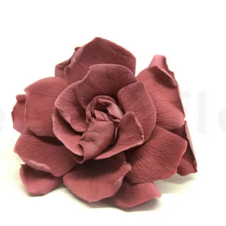 Gardenia stabilizzata Cranberry (x3)